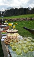 Wein-Wanderung/Picknick in der Rhön-Junggesellinenabschied/JGA Hessen - Ehrenberg (Rhön) Vorschau