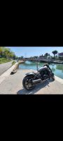 Harley-Davidson V-Rod / Night Rod Custom Nordrhein-Westfalen - Lengerich Vorschau