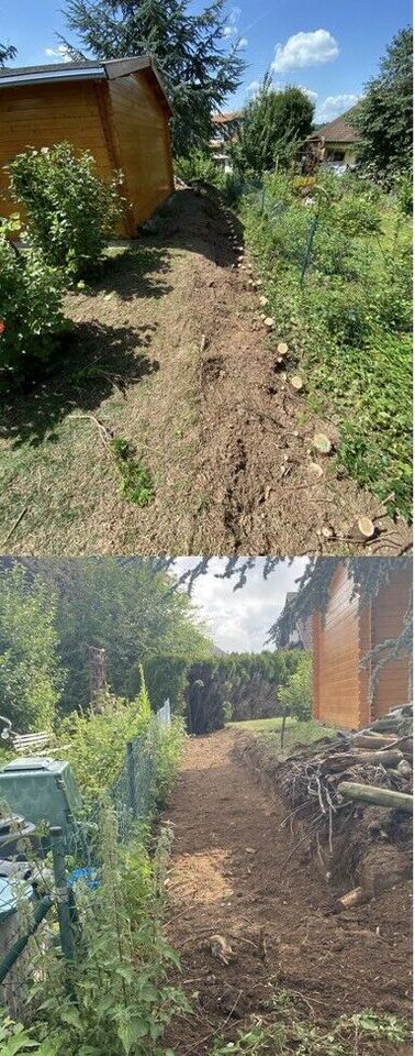 Heckenentfernung Baumfällungen CKu Gartenpflege … in Oberkochen