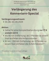 Kennenlern-Special - Pferdephysiotherapie Dresden und Umgebung Dresden - Weixdorf Vorschau