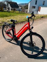 Ebike MAXX Crossmaxx comfort ELS inkl. Thule Fahrradträger (AHK) Bayern - Pretzfeld Vorschau