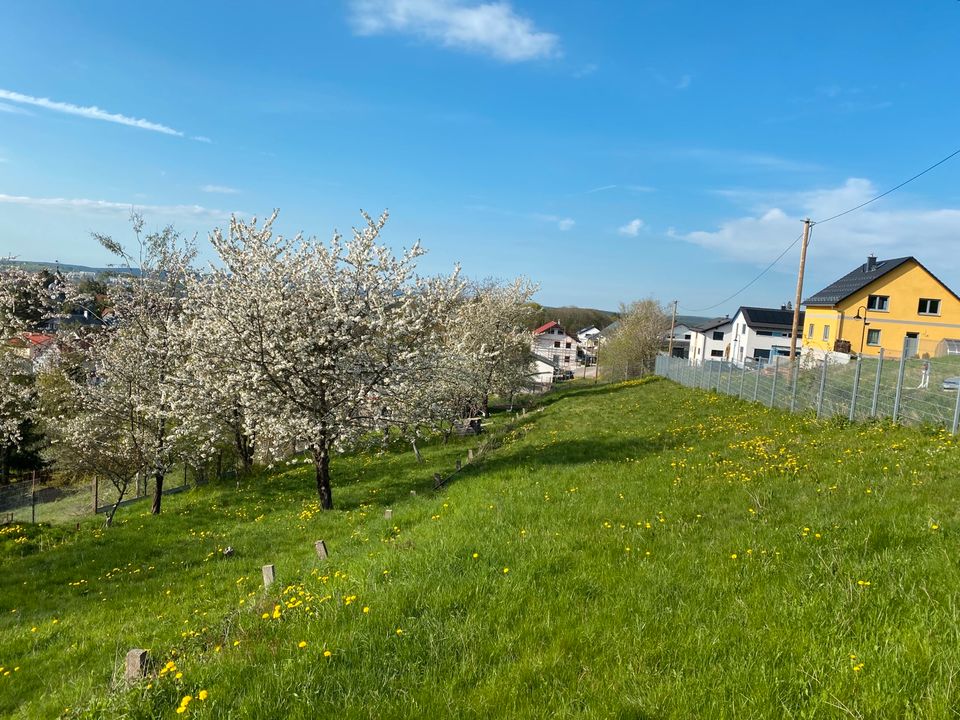 Baugrundstück mit Nebengebäude zu verkaufen in Ilmenau