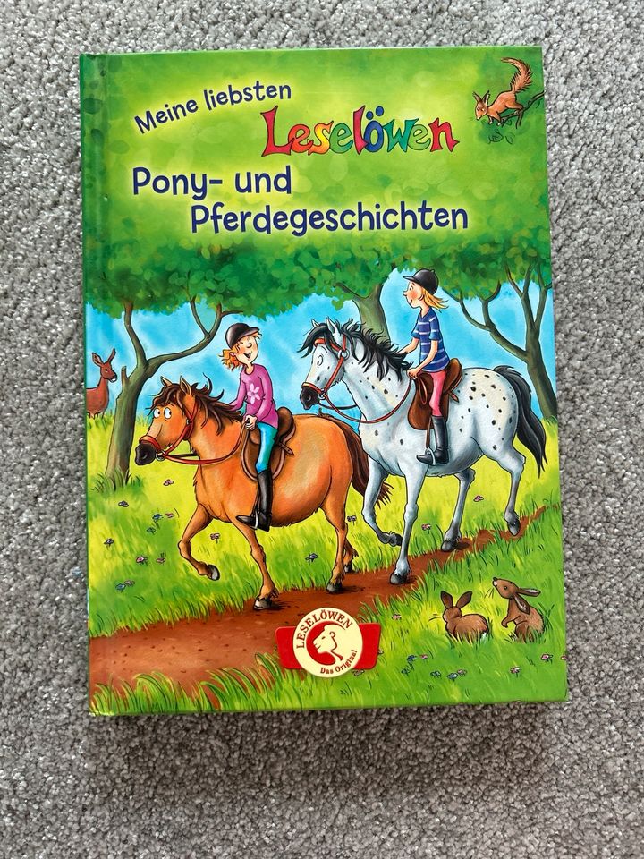 Pony- und Pferdegeschichten in Brunsbuettel