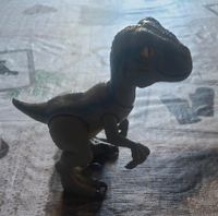 Jurassic World DINO Velociraptor Baby Blue mit Sound&Geräuschen Nordrhein-Westfalen - Gladbeck Vorschau