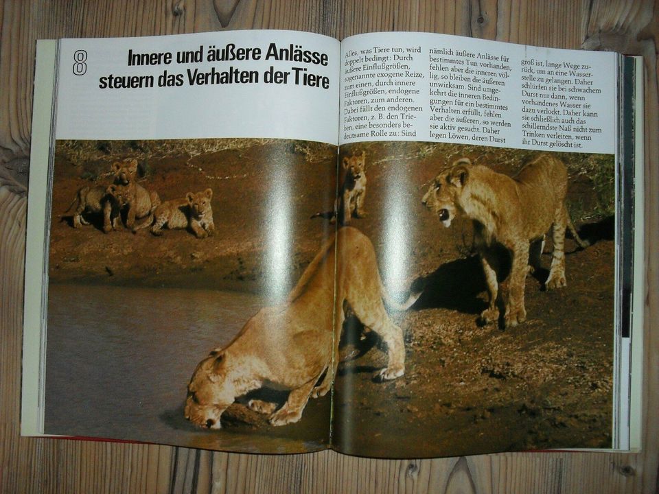 Tiere - Lebensformen und Lebensräume - Bildband in Bingen