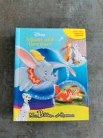 Buch Disneyland mit Figuren Hessen - Eschenburg Vorschau