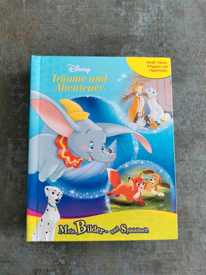 Buch Disneyland mit Figuren in Eschenburg