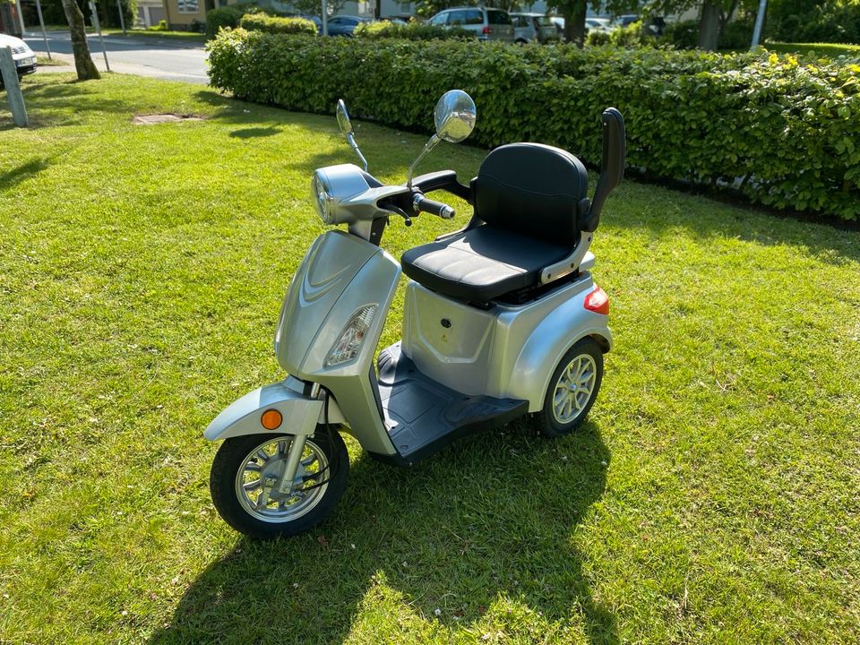 E-Scooter / E-Trike / Rentnermobil in Bremerhaven