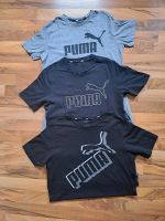 3x Puma Shirts Gr. S Sachsen-Anhalt - Blankenburg (Harz) Vorschau