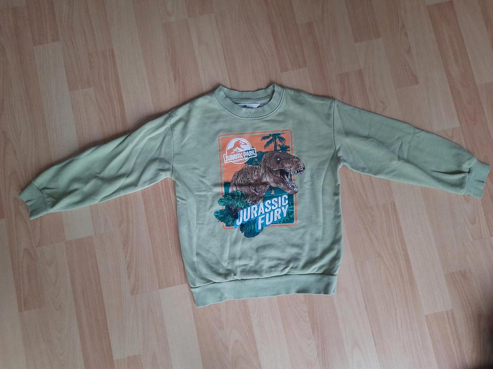 H&M - Sweatshirt Pullover Jurrasic Park Dinosaurier Gr. 122/128 in Heilbronn