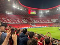 Suche Dauerkarten  FC Bayern - Zahle gut! Bayern - Zirndorf Vorschau