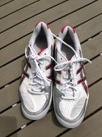 ASICS GEL-APPROACH Größe 40,5 Baden-Württemberg - Bad Waldsee Vorschau
