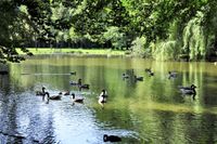 Garten Grundstück in Warsingsfehn Niedersachsen - Moormerland Vorschau