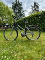 Fuji Kobe Damenrad Fahrrad Citybike Nordrhein-Westfalen - Königswinter Vorschau