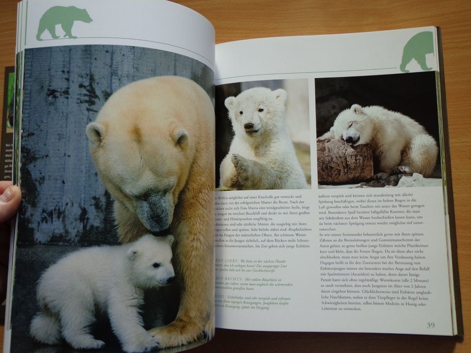 Großbildband "Tierkinder im Zoo", von Prof. Dr. Henning Wiesner . in Hoyerhagen