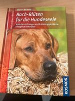 Bach Blüten für die Hundeseele Niedersachsen - Bad Salzdetfurth Vorschau