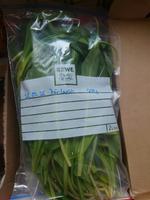 Bio Bärlauch gefroren 200 g Baden-Württemberg - Esslingen Vorschau