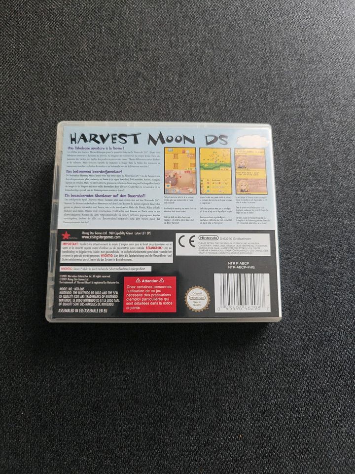 Harvest Moon DS in Haren (Ems)