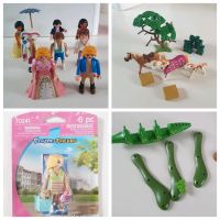 Playmobil Figuren,  Pferde , Ersatzteile,  IT-Girl  NEU 70241 Sachsen-Anhalt - Haldensleben Vorschau