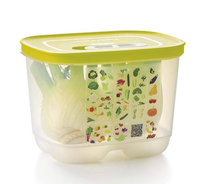 Tupperware * Klima Oase 6,1  L Neu KlimaOase Spargel Obst Gemüse in Pattensen