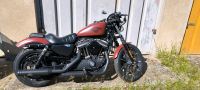 Harley Davidson Sporster 883 Brandenburg - Luckenwalde Vorschau