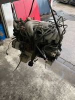 BMW e30 325e e28 525e ETA Motor 27 6K A Nordrhein-Westfalen - Bottrop Vorschau