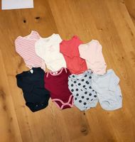 8x Body Wickelbody, Langarm, Größe 62-68 (Stück 2€, Set 14€) Hessen - Bad Arolsen Vorschau