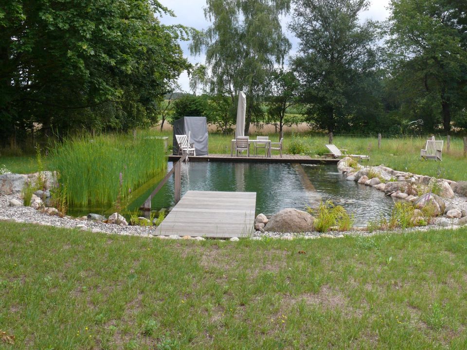 Teiche, Schwimmteiche Gartenteich, Teichbau, Teich in Dahlenburg