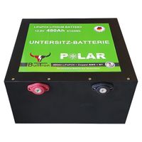 BullTron Polar 480Ah LiFePO4 12.8V Smart Doppel-BMS Bluetooth Nordrhein-Westfalen - Wadersloh Vorschau