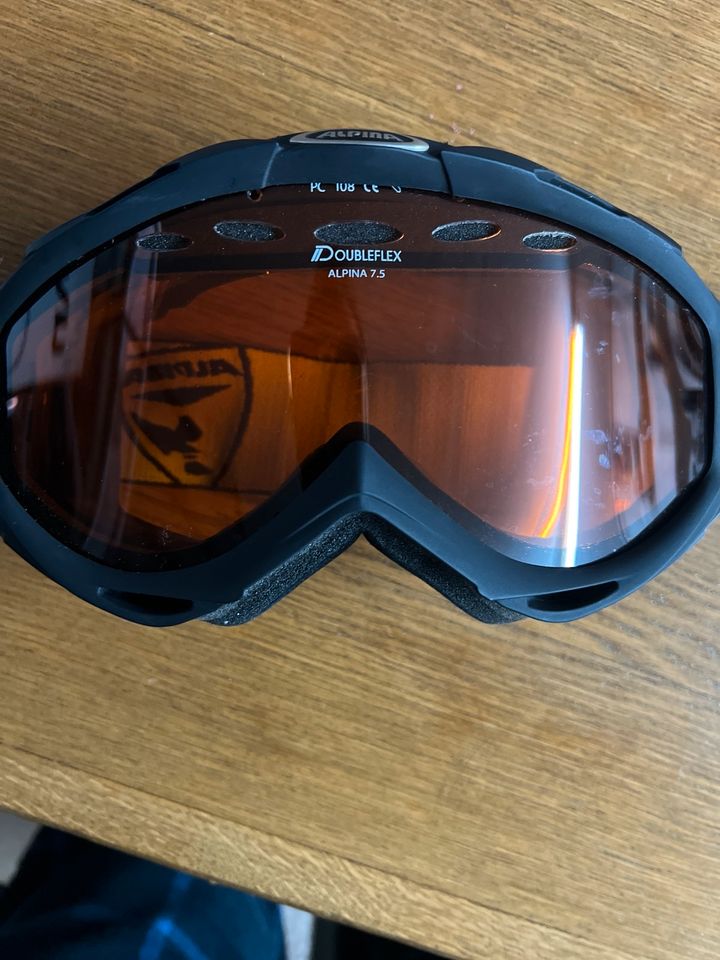 Skibrille Alpina in Au