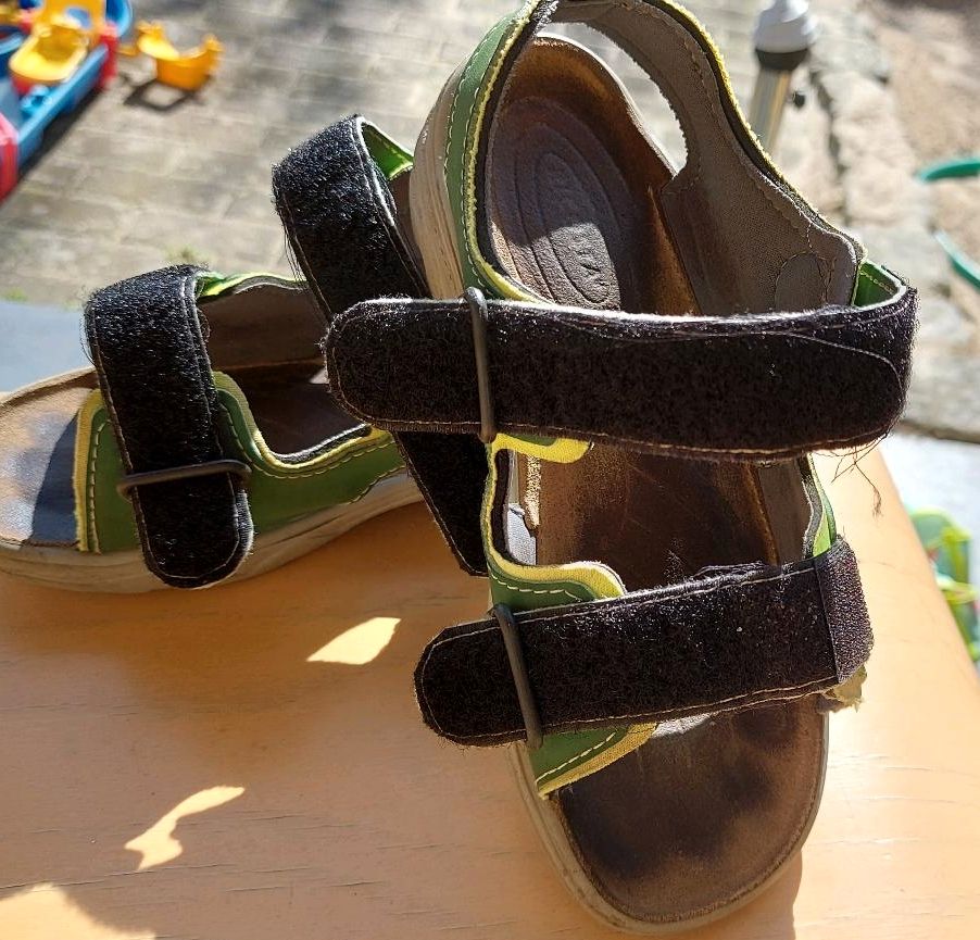 Sandalen * Sommerschuh * Ricosta * Grün mit Hund * Größe 31 in Ochtrup