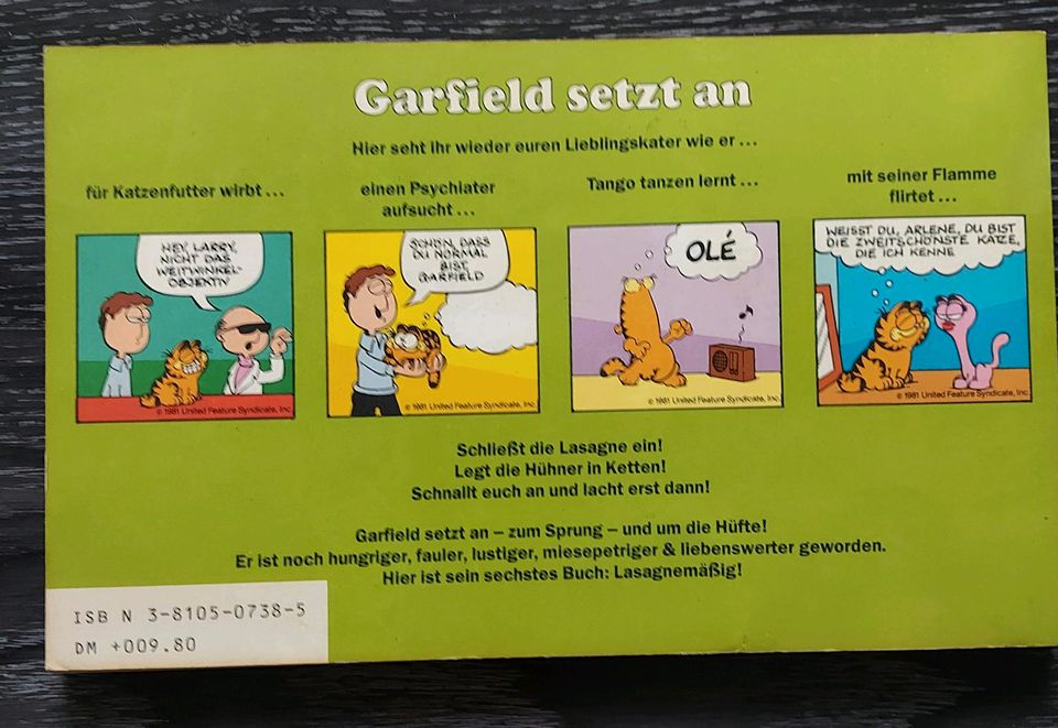 Garfield Buch in Eppelheim