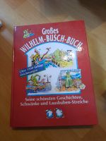 Großes Wilhelm Busch Buch Geschichten Schleswig-Holstein - Kaltenkirchen Vorschau