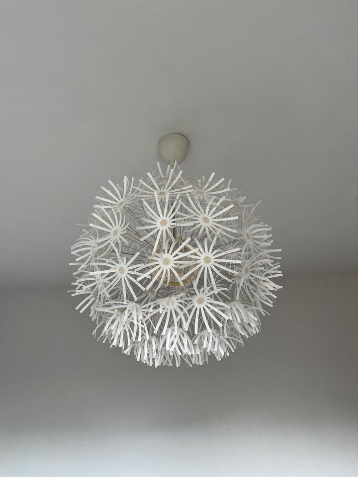 Ikea lampe pusteblume in Oberelbert