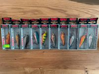 Rapala SR-5 Wobbler Angelzubehör Neu Spinnfischen Nordrhein-Westfalen - Geseke Vorschau