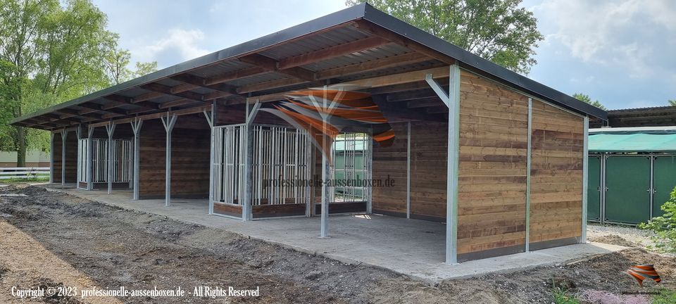 Pferdestall bauen - Außenbox, Pferdebox, Offenstall / Weidehütte in Kolbingen