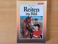 Reiten im Bild Kr. Dachau - Markt Indersdorf Vorschau