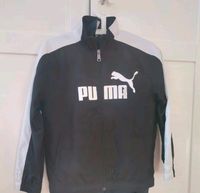 Puma sportjacke junge 140 Friedrichshain-Kreuzberg - Kreuzberg Vorschau