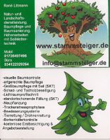 Baumpflege,Obstbaumschnitt,Heckenschnitt,Fällung,Gartenarbeit Sachsen - Freiberg Vorschau