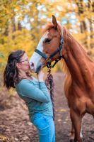 Paint Horse Mix Beisteller / Bodenarbeitspferd zu verkaufen Nordrhein-Westfalen - Straelen Vorschau