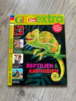 GEO lino EXTRA 65 - Reptilien & Amphibien - NEU GEOlino Bayern - Wartenberg Vorschau