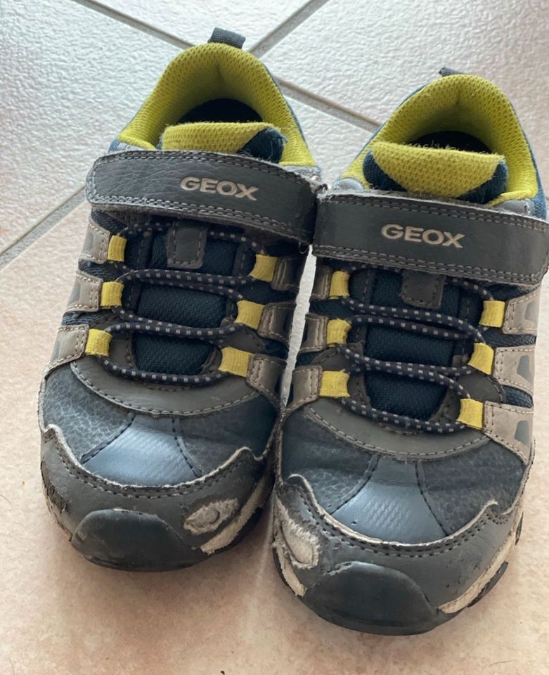 Outdoor Schuhe / Halbschuhe/ Sneaker / Geox Magnetar Größe 29 in Hollenstedt