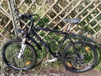 Cube LTD Mountainbike Schleswig-Holstein - Oststeinbek Vorschau