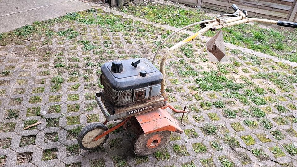 Holder Bodenfräse in Schwabenheim an der Selz