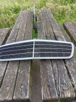 Mercedes W210 Mopf Kühlergrill Frontgrill Nordrhein-Westfalen - Rüthen Vorschau