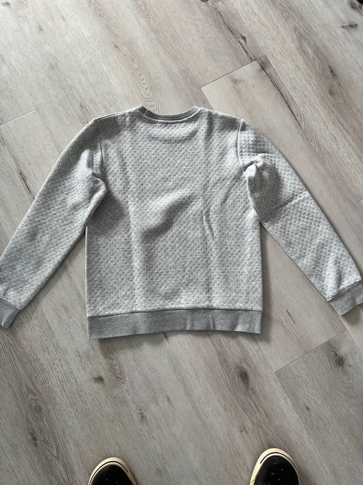 Scotch&Soda Pullover Gr.:M in Wetzlar