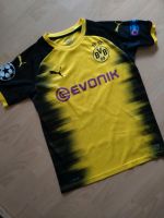 BVB Borussia Dortmund Yarmolenko Trikot Gr.164 CL Fußball Shirt Nordrhein-Westfalen - Brakel Vorschau