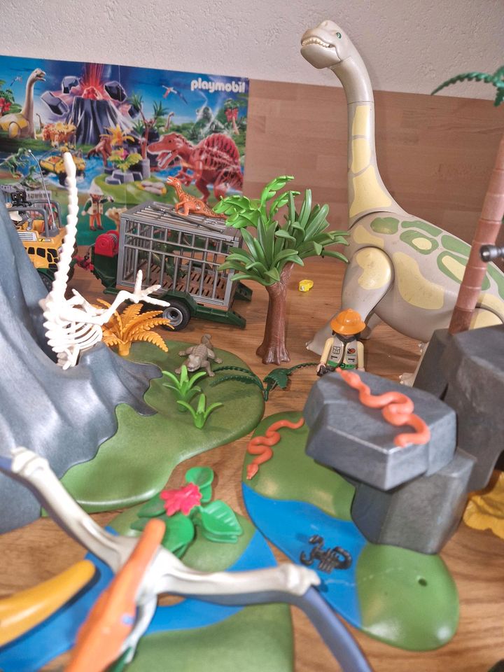 Playmobil Dino Welt in Hanau