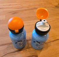 SIGG Alu Trinkflasche Kinder 0,3L Baden-Württemberg - Fronreute Vorschau