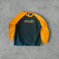Reebok Vintage Green Bay Packers Pullover – Größe XL, Top Zustand Dresden - Innere Altstadt Vorschau